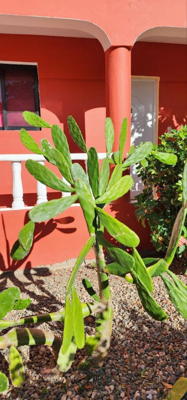 Villa Kiki Ensenada Punta Rucia Bagian luar foto
