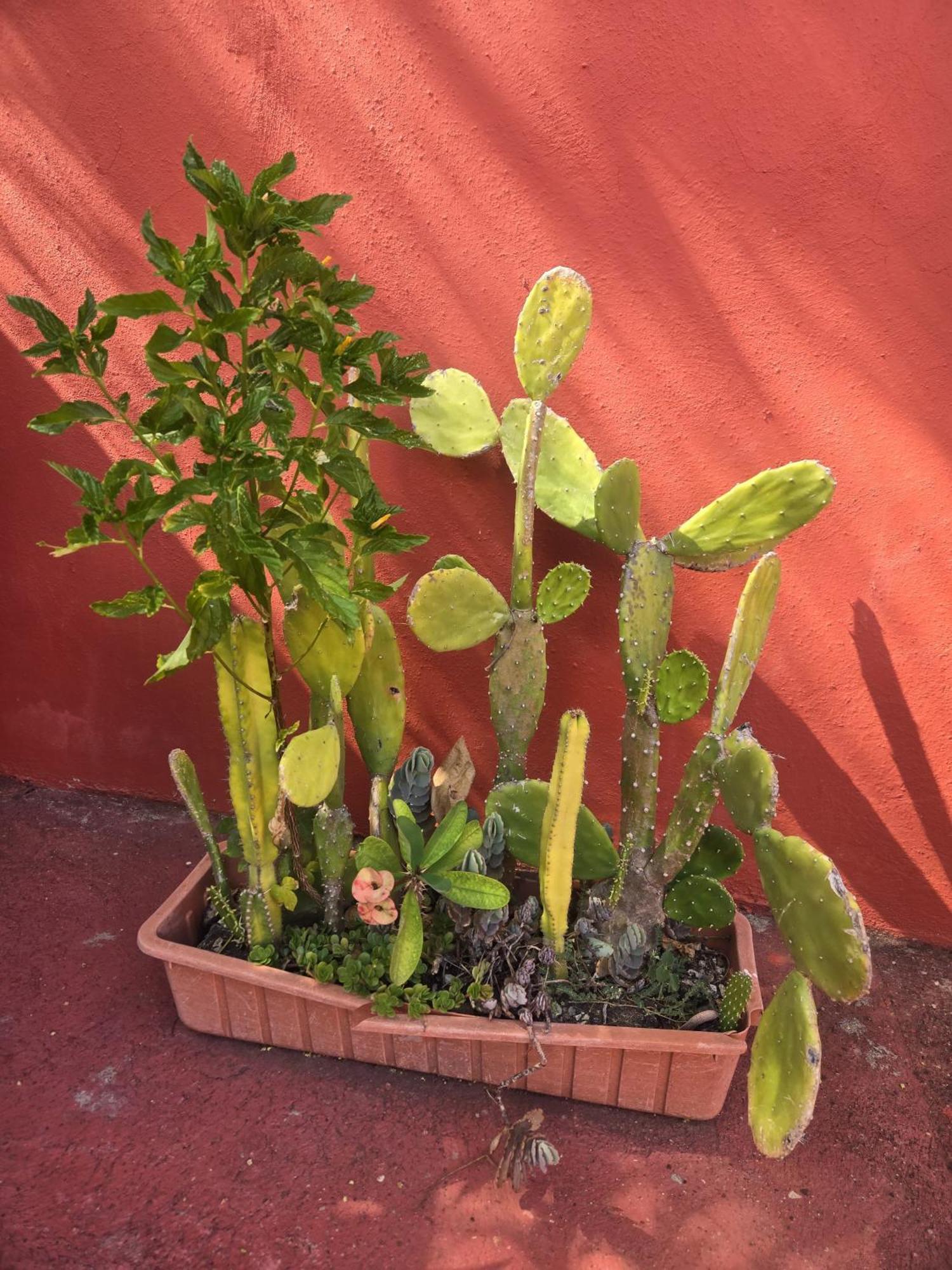 Villa Kiki Ensenada Punta Rucia Bagian luar foto